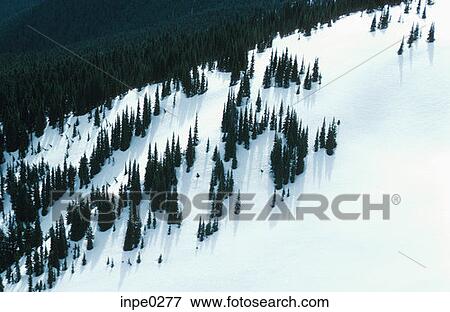 Stock Photo - objects, people, occupations, animals. Fotosearch