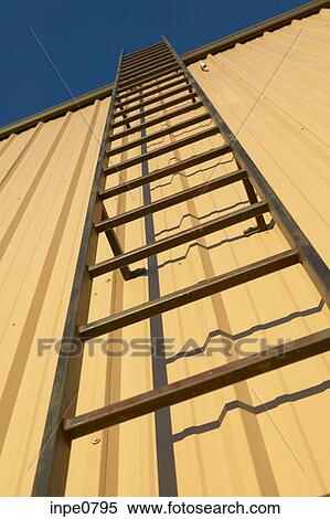 Stock Photography - objects, people, occupations, animals. Fotosearch