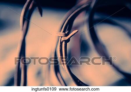 Stock Photo - Barbed Wire. Fotosearch
