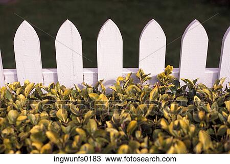 Picket Fence View Large Photo Image Stock Image - Picket Fence. Fotosearch