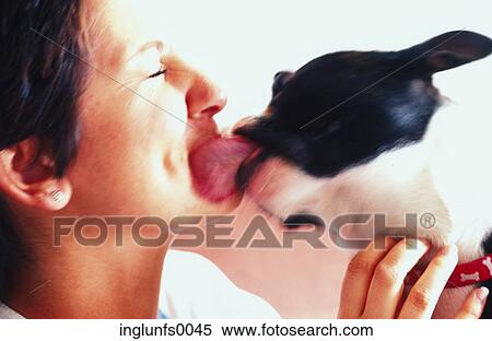 Puppy Kisses View Large Photo Image Stock Photography - Puppy Kisses. Fotosearch