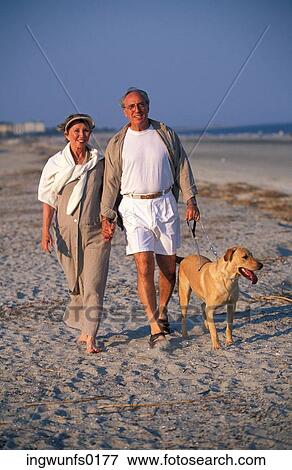 Seniors Walk the Dog at the Beach View Large Photo Image Stock Photo - Seniors Walk the Dog at the Beach. Fotosearch