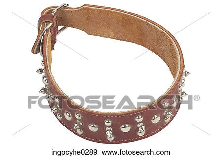 Stock Photo - Brown leather dog collar . Fotosearch