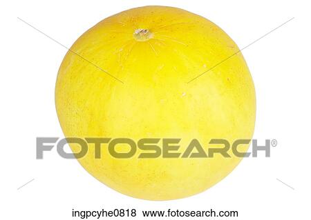 canary melon View Large Photo Image Stock Photo - canary melon . Fotosearch
