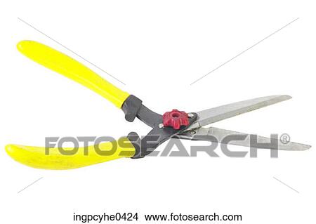 Picture - Clippers with yellow plastic handles L3. Fotosearch