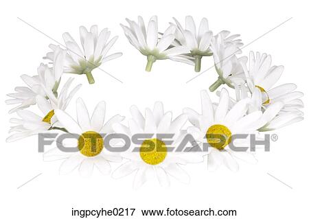 flowers View Large Photo Image Stock Photo - flowers . Fotosearch