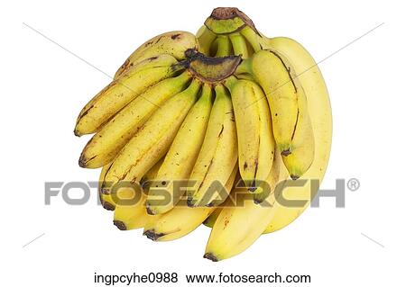 Food & Beverages View Large Photo Image Stock Photo - Food & Beverages. Fotosearch