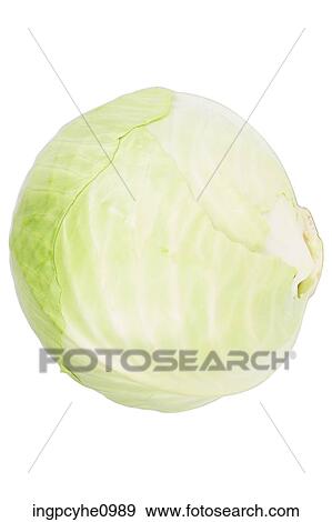 Food & Beverages View Large Photo Image Stock Photo - Food & Beverages. Fotosearch