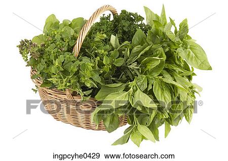 Fresh herbs in straw basket View Large Photo Image Stock Photo - Fresh herbs in straw basket . Fotosearch