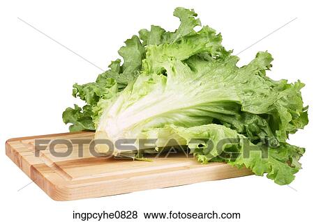 leaf lettuce on cutting board View Large Photo Image Stock Photo - leaf lettuce on cutting board . Fotosearch