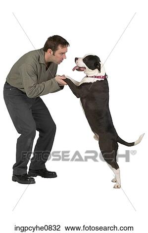 Man and dog View Large Photo Image Stock Image - Man and dog . Fotosearch