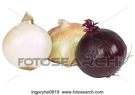 onions View Large Photo Image Stock Photo - onions . Fotosearch