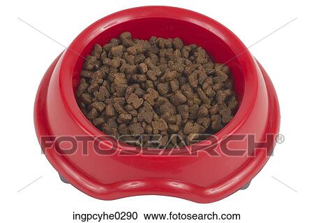 Pet food in red plastic bowl View Large Photo Image Stock Image - Pet food in red plastic bowl . Fotosearch