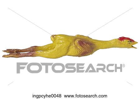 rubber chicken View Large Photo Image Stock Photo - rubber chicken. Fotosearch