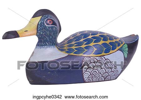 Wood Duck 2 View Large Photo Image Stock Image - Wood Duck 2 . Fotosearch