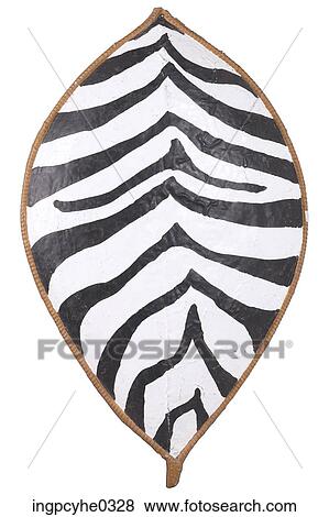 Zebra skin African shield View Large Photo Image Stock Photo - Zebra skin African shield. Fotosearch