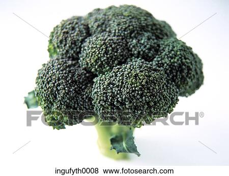 Broccoli View Large Photo Image Stock Photo - Broccoli. Fotosearch