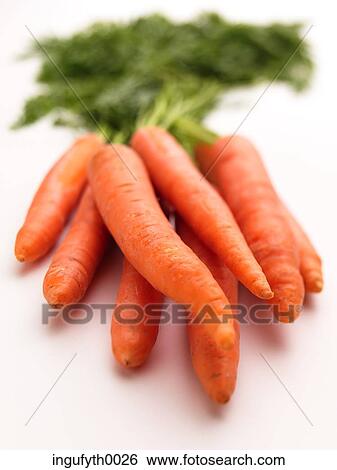 Carrots View Large Photo Image Stock Photograph - Carrots. Fotosearch