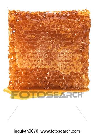 Stock Image - Honeycomb. Fotosearch