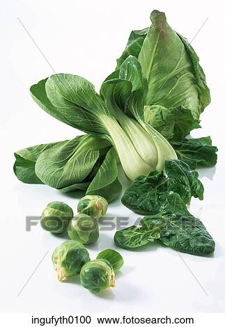 Leafy Veg View Large Photo Image Stock Image - Leafy Veg. Fotosearch