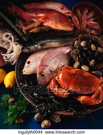 Seafood View Large Photo Image Picture - Seafood. Fotosearch