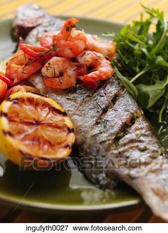 Trout View Large Photo Image Stock Photo - Trout. Fotosearch