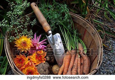 Stock Photo - Basket of Fresh Goods. Fotosearch