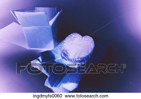 Brain next to Box View Large Photo Image Stock Image - Brain next to Box. Fotosearch