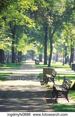Stock Photograph - City Park Benches Portland Oregon. Fotosearch