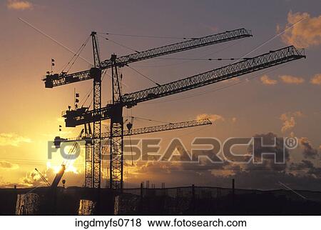 Cranes at Sunset View Large Photo Image Stock Photo - Cranes at Sunset. Fotosearch