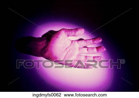 Dismembered Hand View Large Photo Image Stock Image - Dismembered Hand. Fotosearch