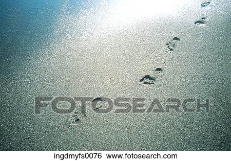Stock Photograph - Footprints in Sand. Fotosearch