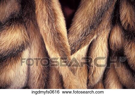 Fur Coat View Large Photo Image Stock Photograph - Fur Coat. Fotosearch