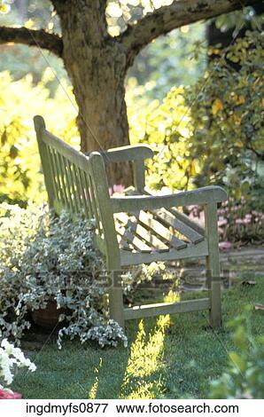 Garden Bench in Sunlight View Large Photo Image Stock Photo - Garden Bench in Sunlight. Fotosearch