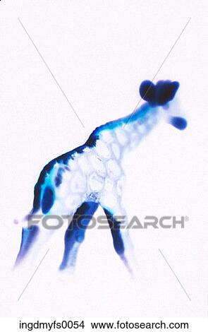 Picture - Giraffe Figurine. Fotosearch
