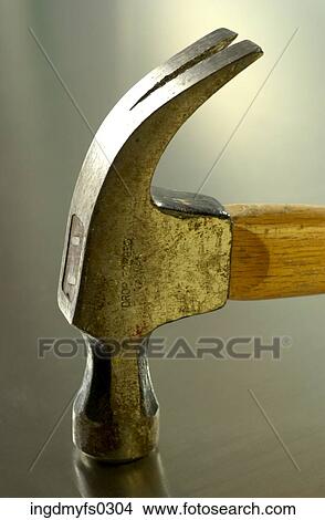 Hammer Head View Large Photo Image Picture - Hammer Head. Fotosearch