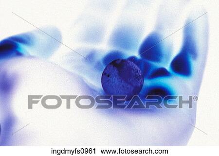 Stock Image - Hand Holding a Small Globe. Fotosearch