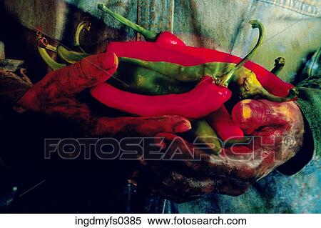Stock Photography - Hands Holding Chili Peppers. Fotosearch