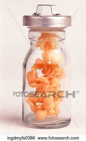 Jar Of Babies View Large Photo Image Stock Photograph - Jar Of Babies. Fotosearch