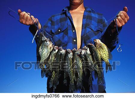 Man Holding String of Caught Fish View Large Photo Image Stock Photograph - Man Holding String of Caught Fish. Fotosearch