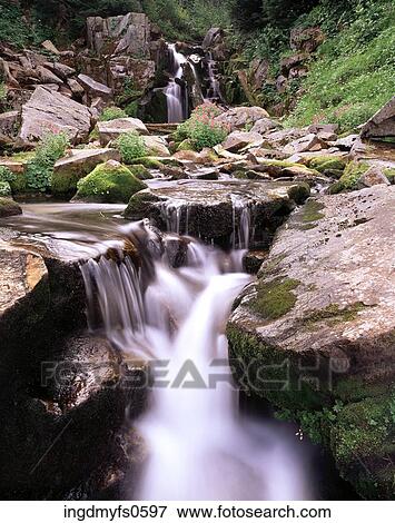 Mount Rainier National Park View Large Photo Image Stock Photo - Mount Rainier National Park. Fotosearch