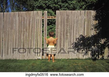 Peeking through the fence View Large Photo Image Stock Photograph - Peeking through the fence. Fotosearch