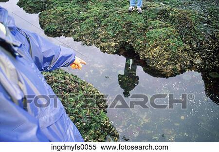 Person Pointing to Reflection in Water View Large Photo Image Stock Photography - Person Pointing to Reflection in Water. Fotosearch