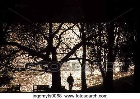 Person Walking on Path Beside Lake View Large Photo Image Stock Photo - Person Walking on Path Beside Lake. Fotosearch