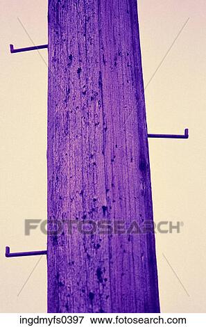 Stock Photo - Purple Telephone Pole. Fotosearch