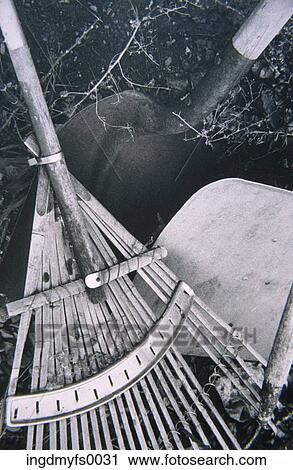 Rake And Shovels View Large Photo Image Stock Image - Rake And Shovels. Fotosearch