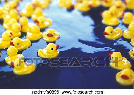 Rubber Duckies Floating in Water View Large Photo Image Stock Photograph - Rubber Duckies Floating in Water. Fotosearch