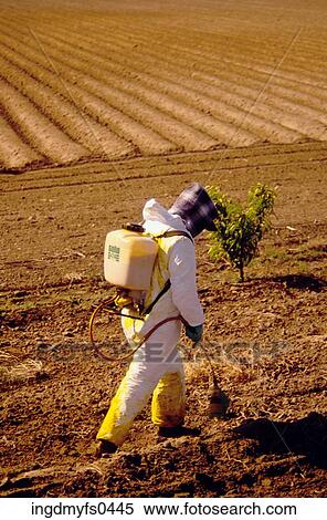 Spraying Pesticides View Large Photo Image Stock Photography - Spraying Pesticides. Fotosearch