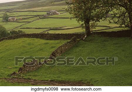 Stock Photo - Stone Wall in Yorkshire. Fotosearch