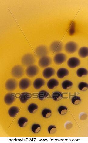 Telephone Receiver View Large Photo Image Stock Photo - Telephone Receiver. Fotosearch